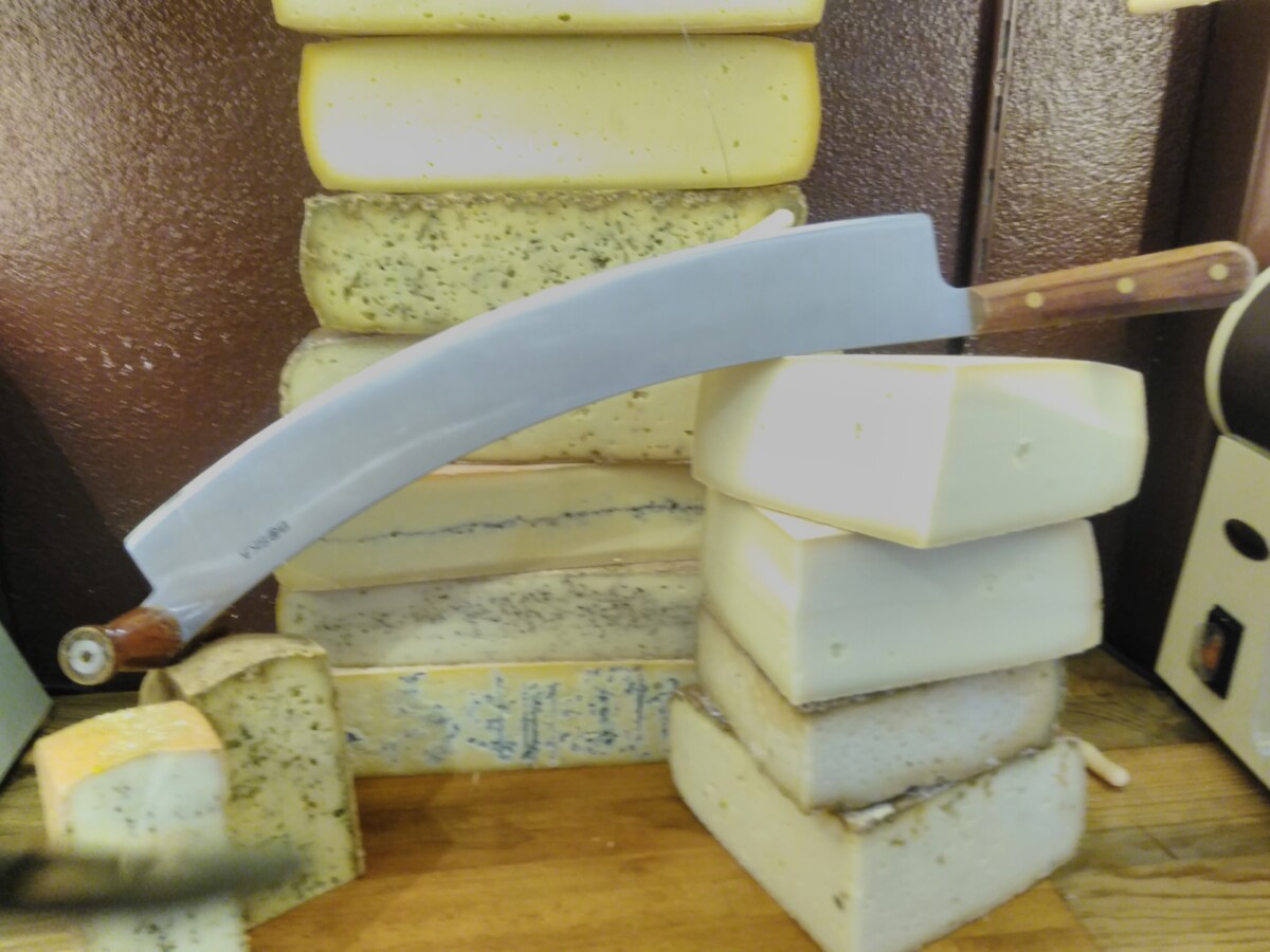 L'actualité du moment